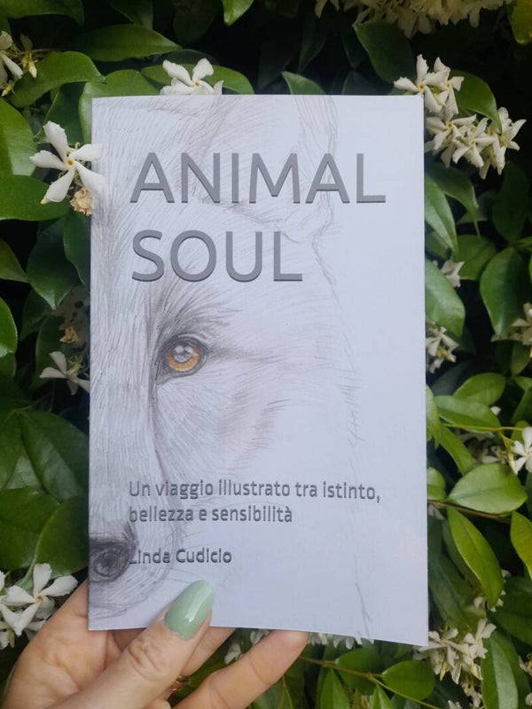 Libro illustrato