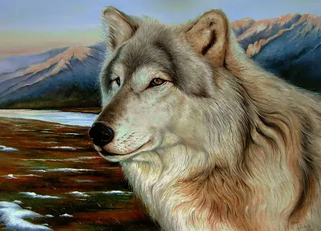 Wolf. Slipstream Fine Art