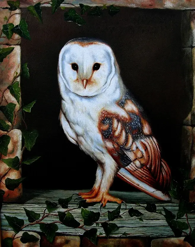 Barn Owl. Slipstream Fine Art
