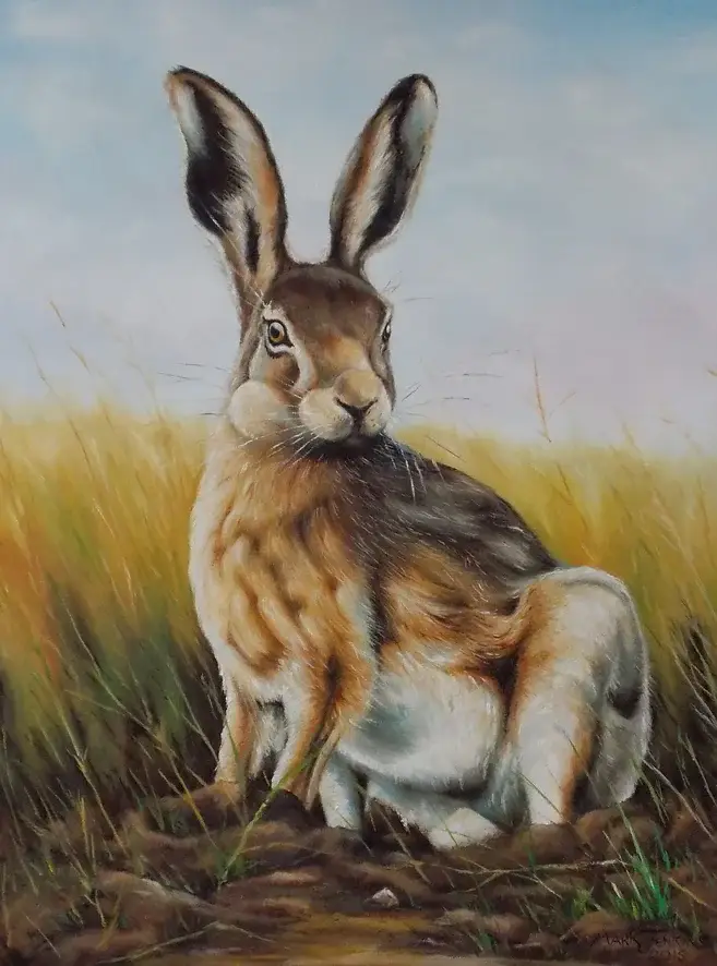Hare. Slipstream Fine Art
