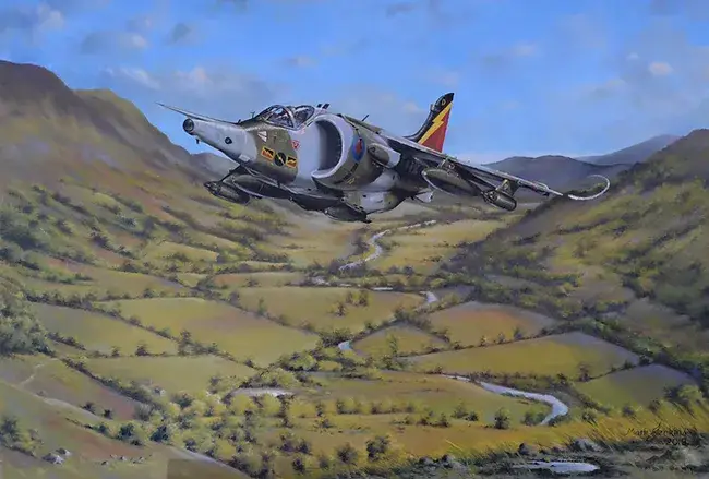 Harrier. Slipstream Fine Art
