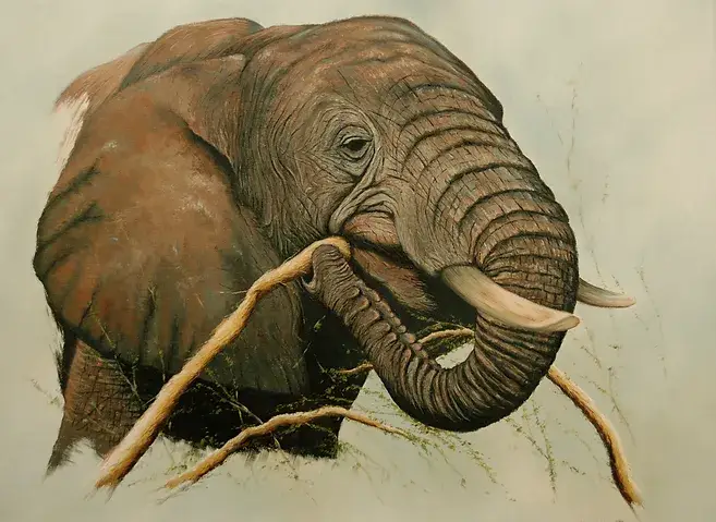 Elephant. Slipstream Fine Art
