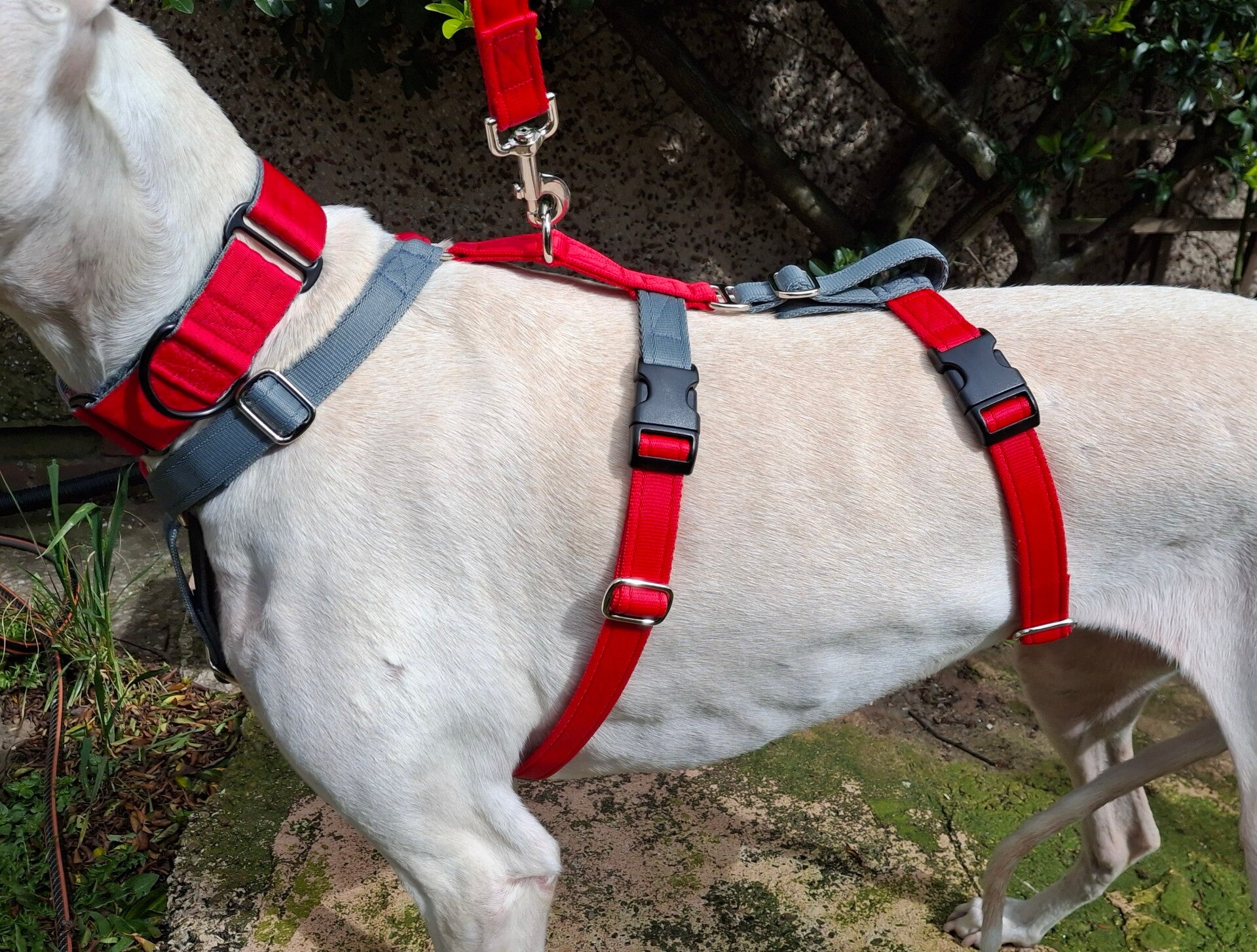 Safe Haven Made to Measure Escape Proof  and Standard Harness (from £30)