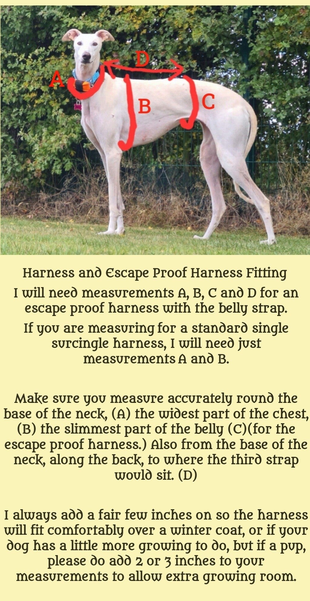 Safe Haven Made to Measure Escape Proof  and Standard Harness (from £30)