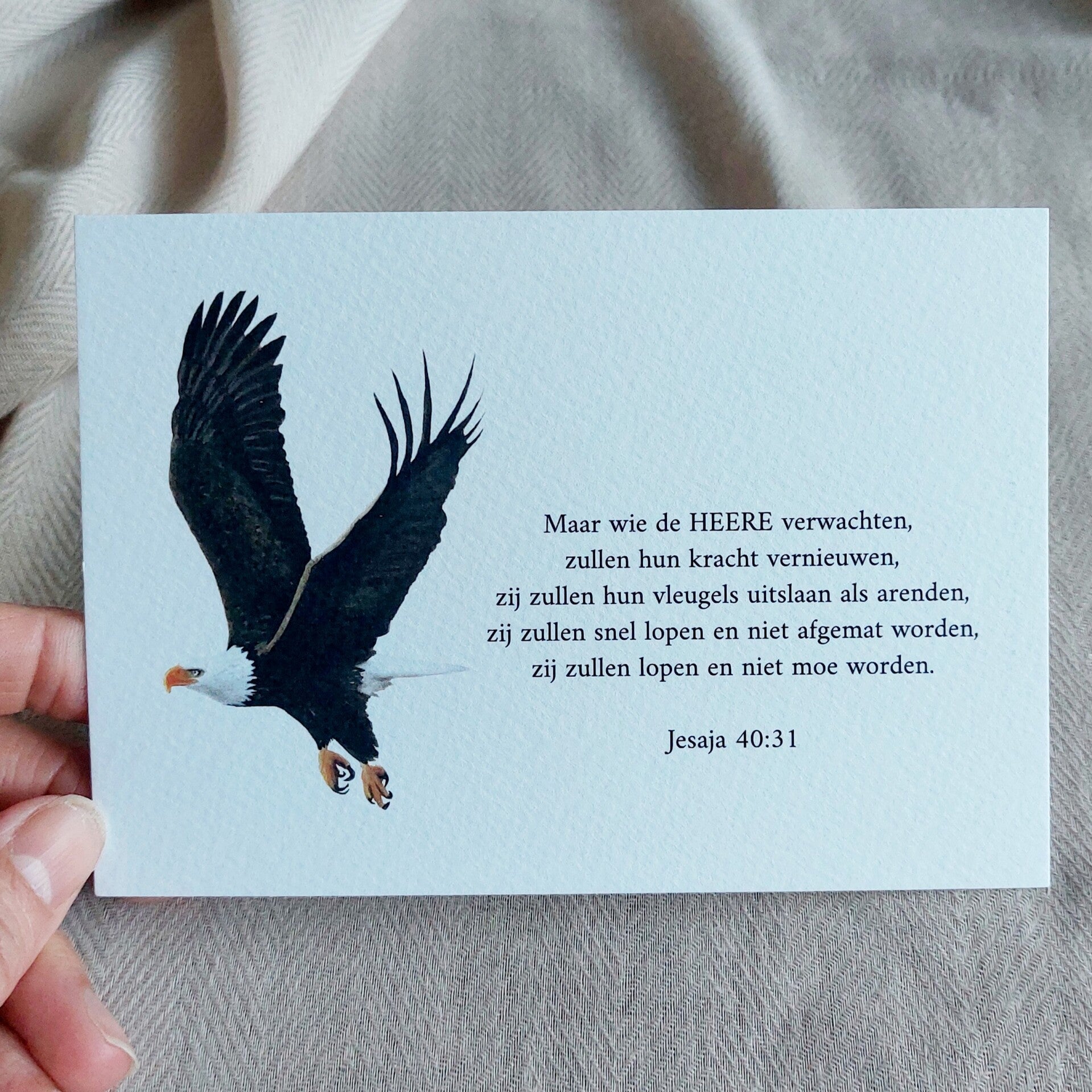 Maar wie de HEERE verwachten, zullen hun kracht vernieuwen,..