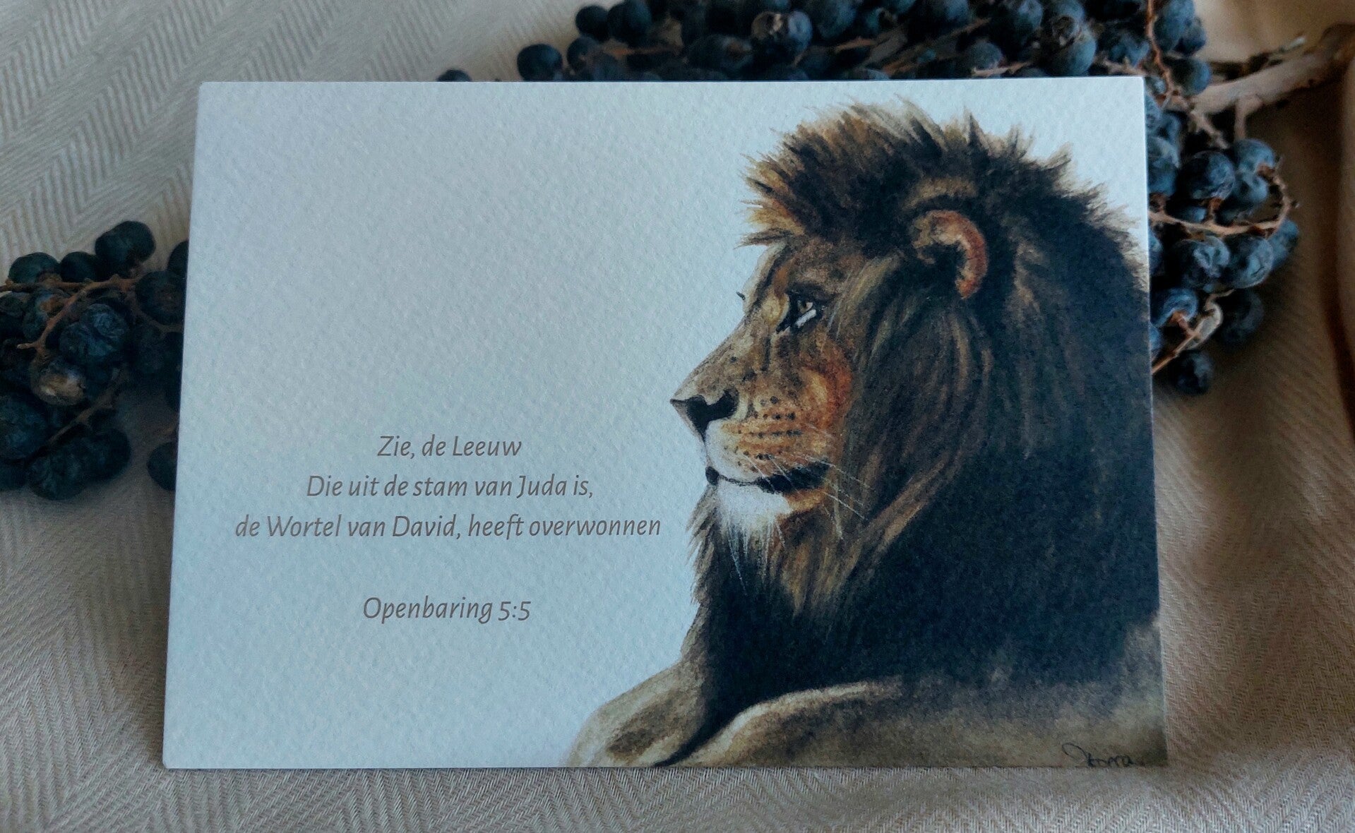 Zie, de Leeuw Die uit de stam van Juda...