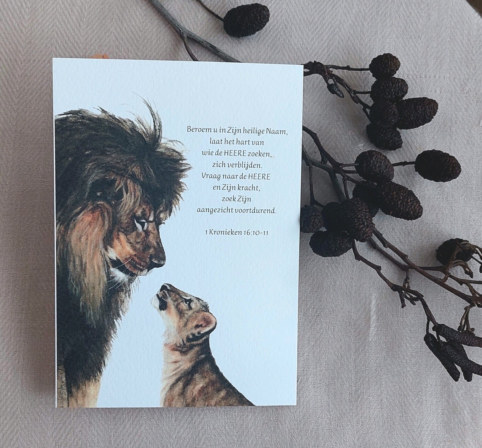 Beroem u in Zijn heilige Naam, laat het hart van wie de HEERE zoeken, zich verblijden. Vraag naar de HEERE en Zijn kracht, zoek Zijn aangezicht voortdurend.