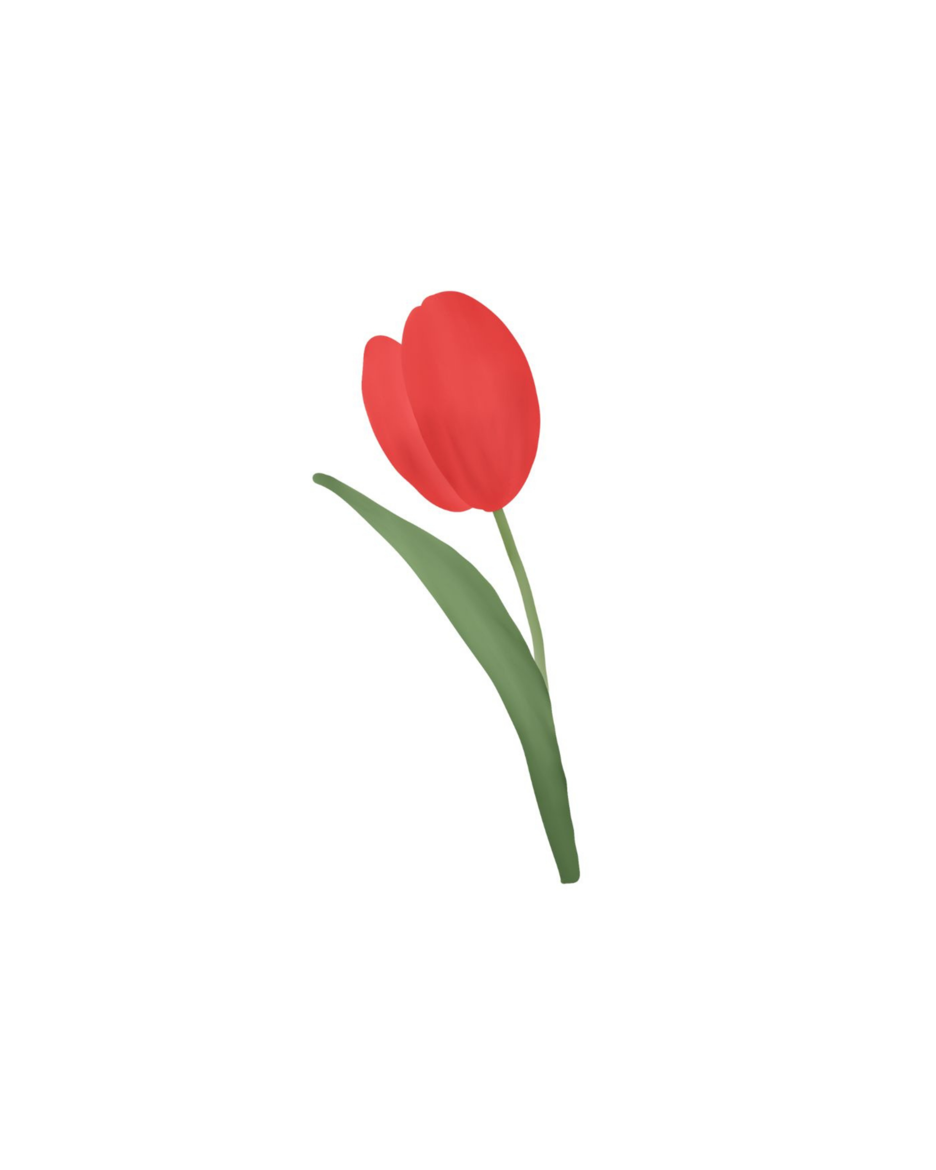 Zomaar kaart – Tulp