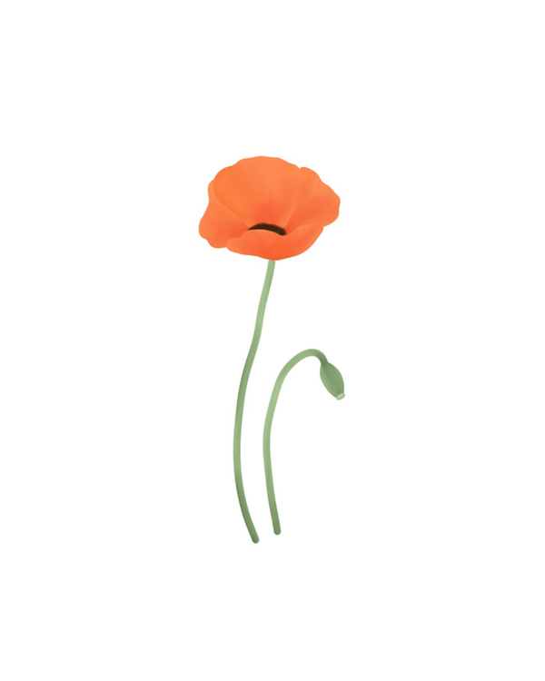 Zomaar kaart – Klaproos