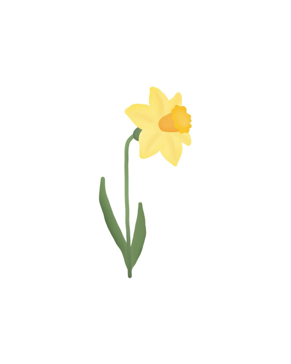 Zomaar kaart – Narcis