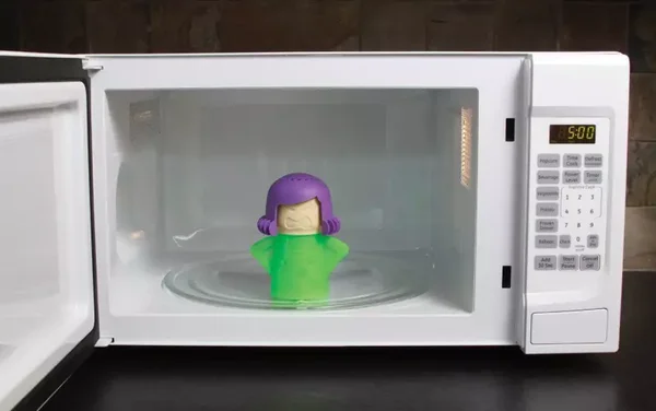 Microwave cleaner
