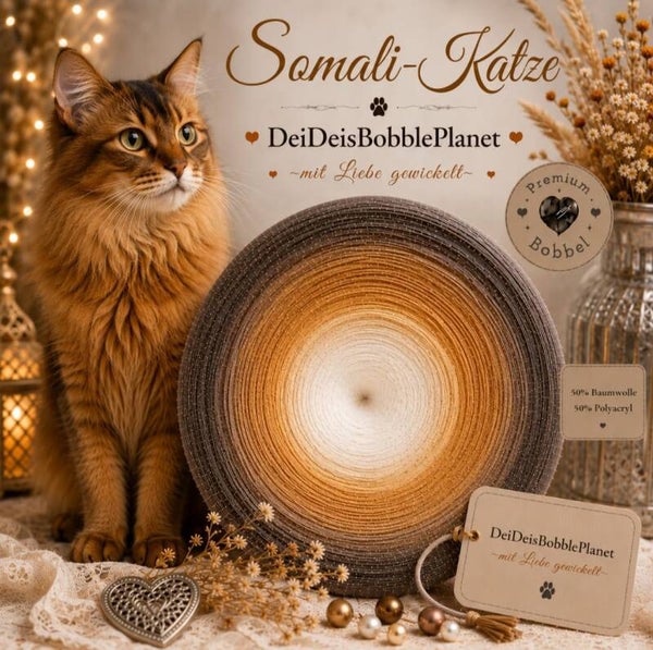 Bobbel Somali-Katze