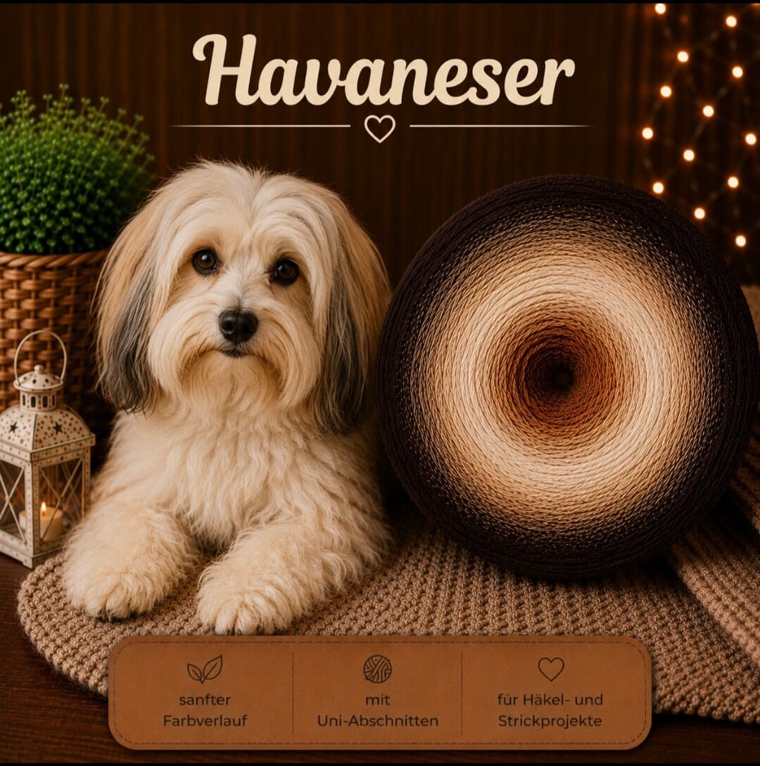 Bobbel Havaneser