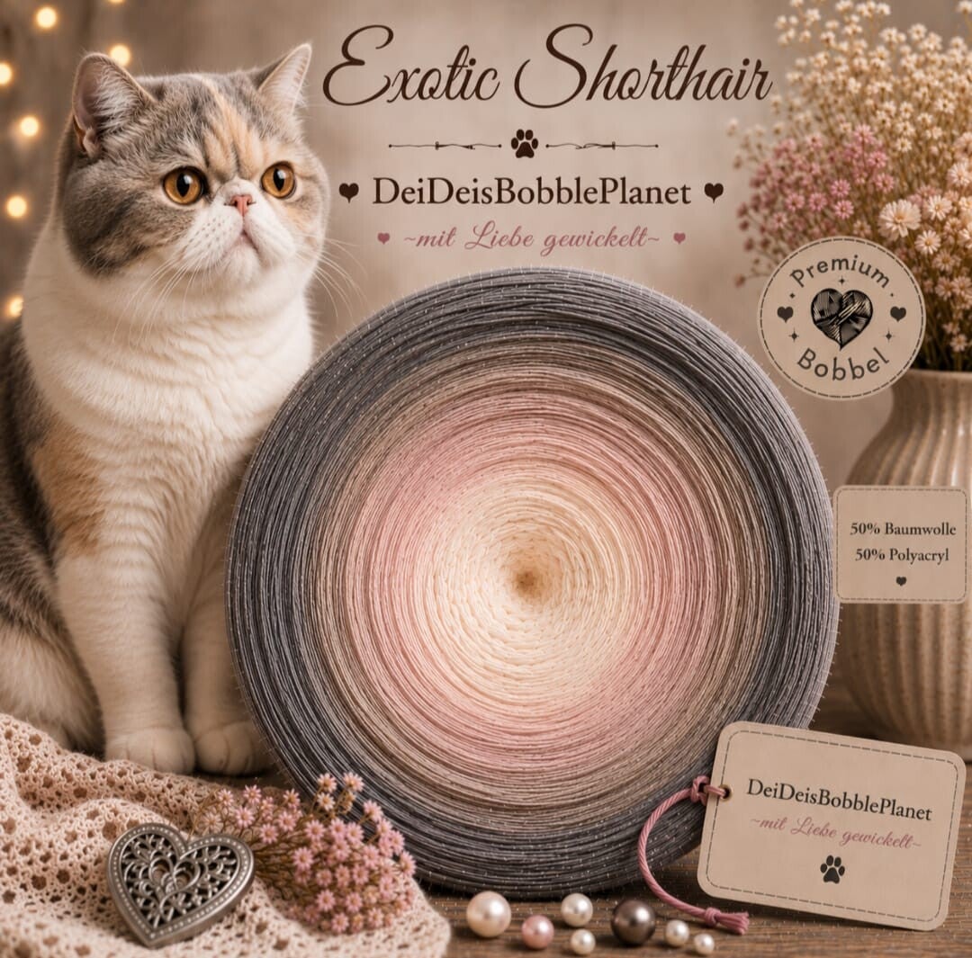 Bobbel Exotic Shorthair