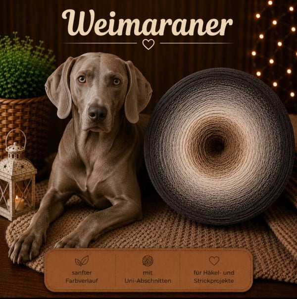 Bobbel Weimaraner