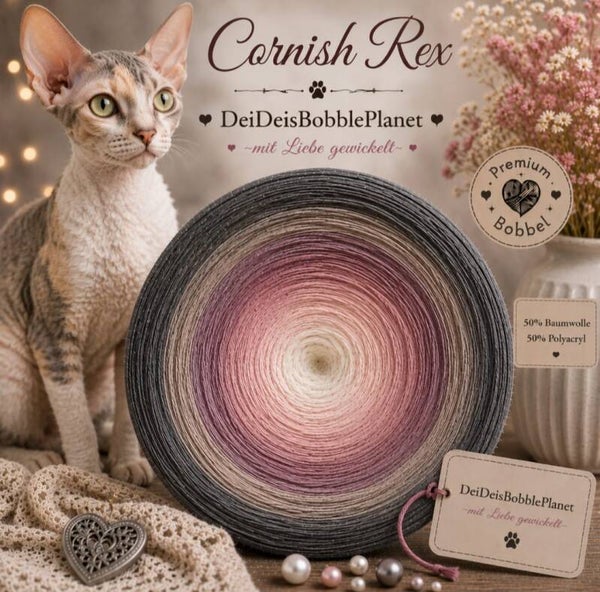 Bobbel Cornish Rex