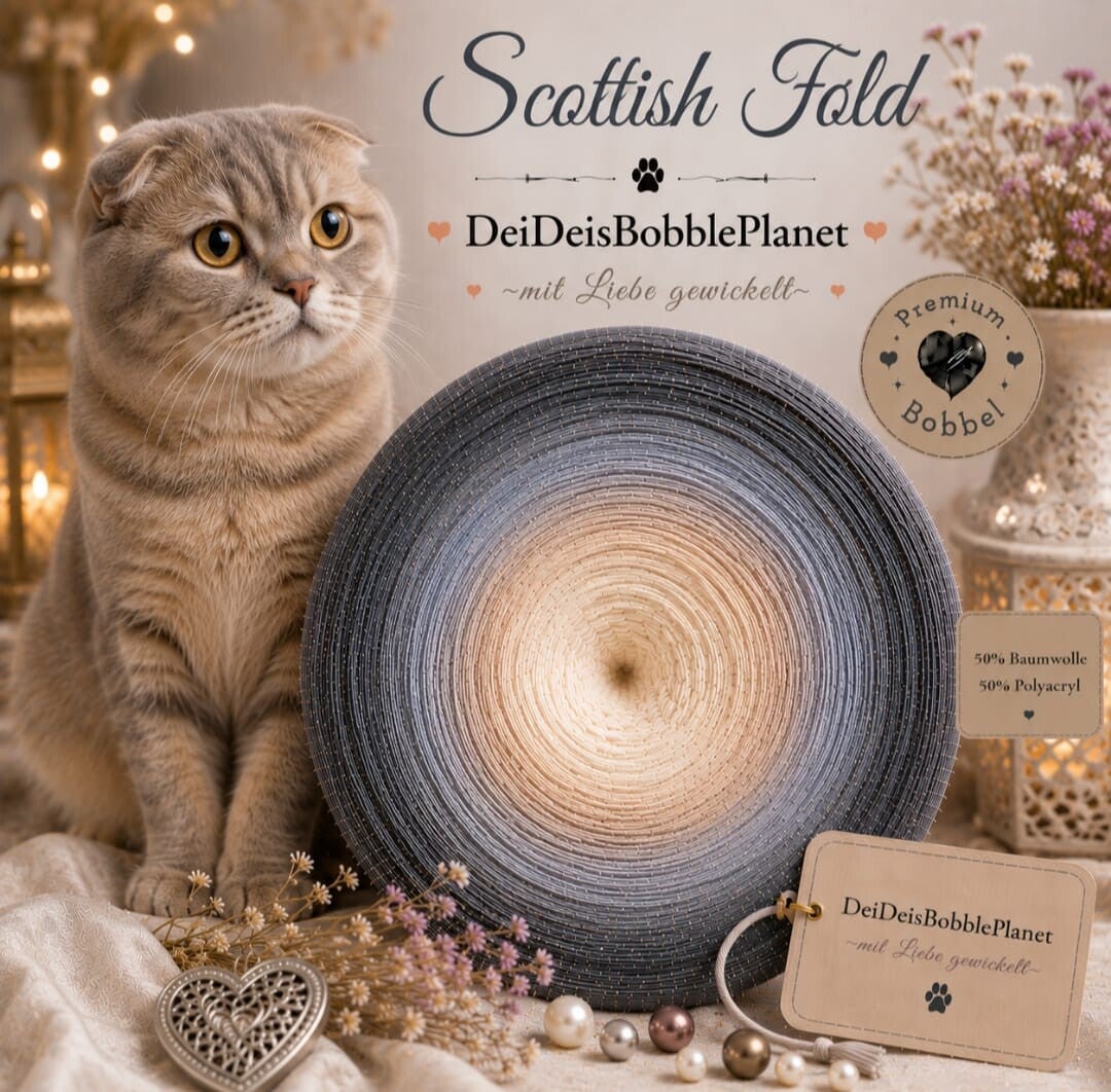 Bobbel Scottish Fold