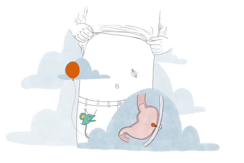 Uitleg hoe de Mickey Button er uit ziet en werkt 