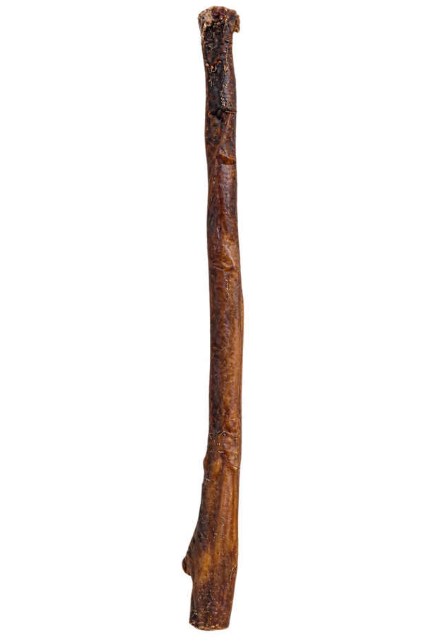 Kamelenhuid 70 centimeter
