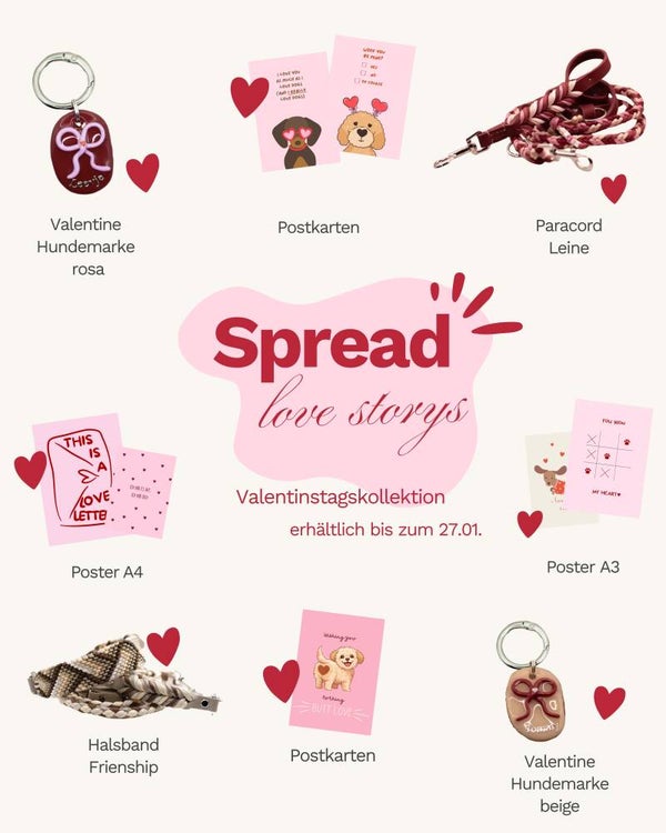 Spread love storys - LeashUp x stilundschnauze