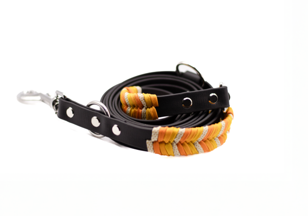 Biothane x Paracord Dreams Leine