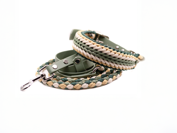 Ivys Summit Collection