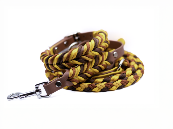 Tommy golden Sunflower