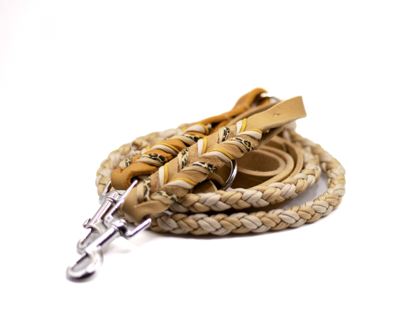 Paracord x Leder Leine