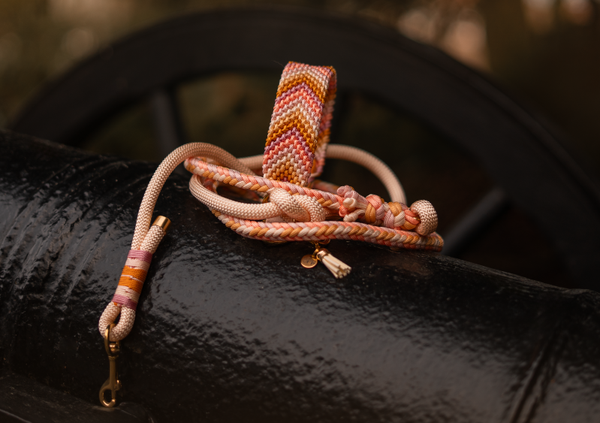 Nalas Apricot Countess