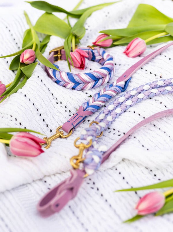 Mayas Violet Duchess