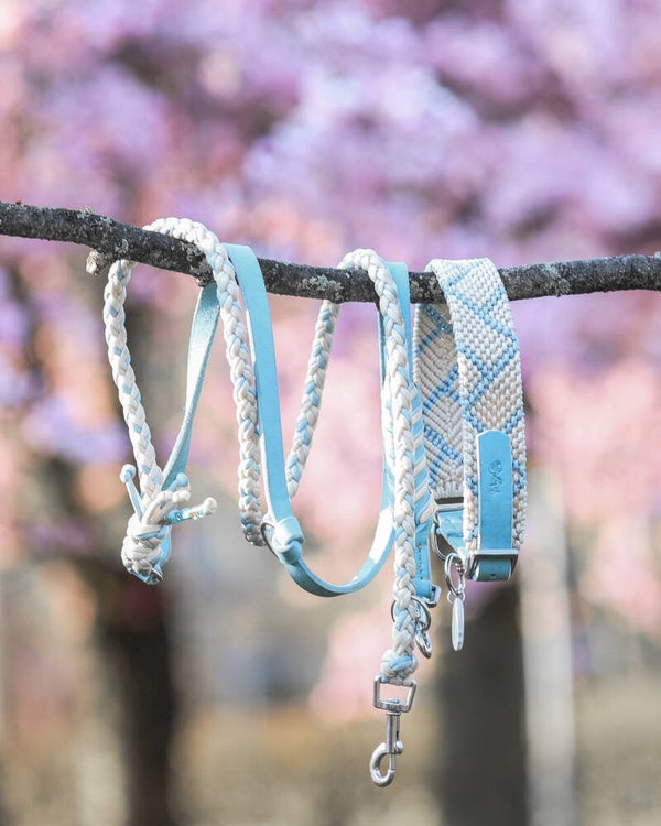 Apollos Azure Viscount