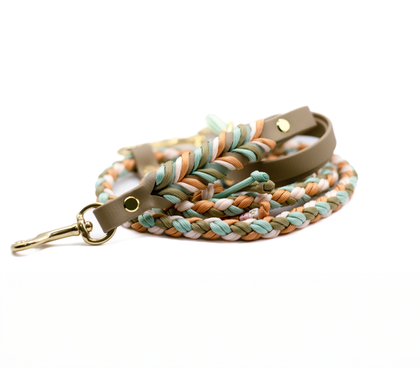 Paracord x Biothane Leine