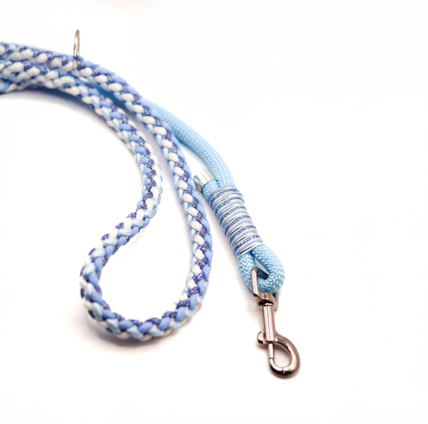 Paracord x Tau Leine