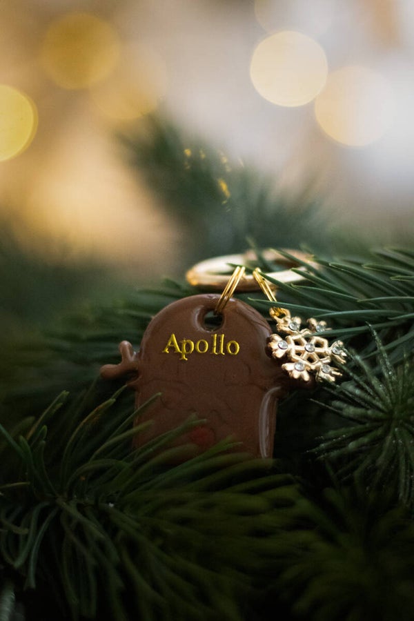 Santas Favorite Marke