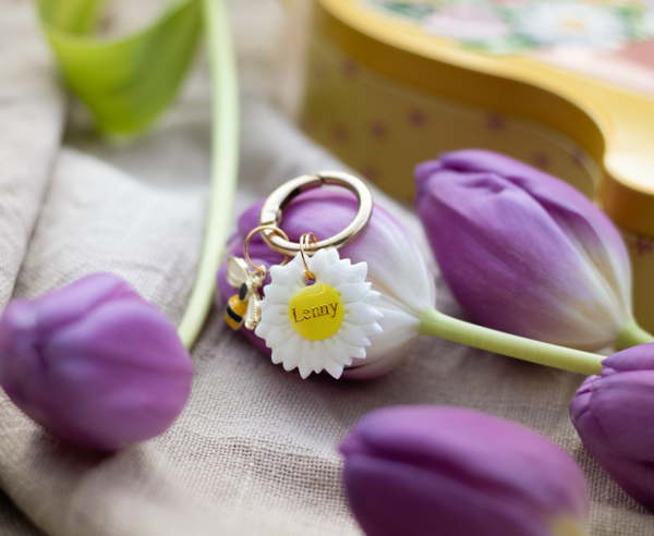 Gänseblümchen Marke