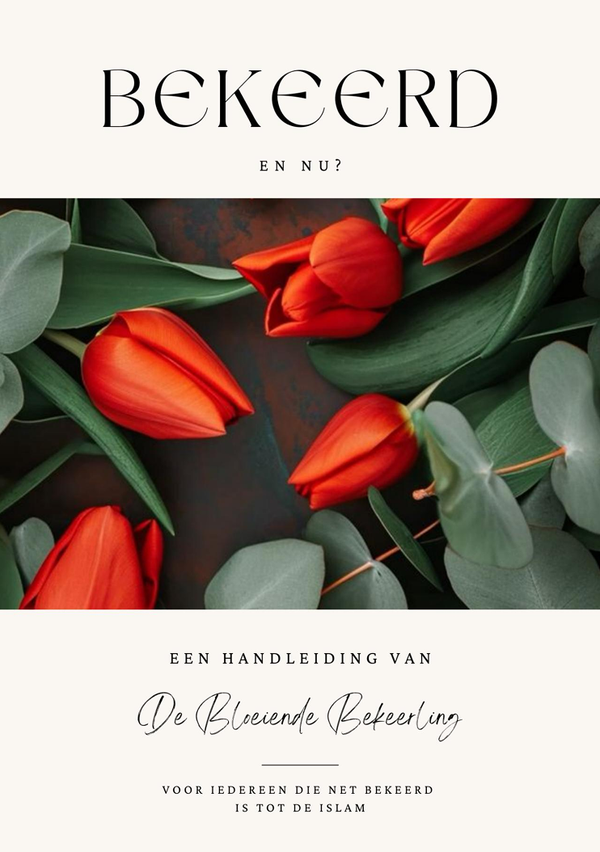 Handleiding: bekeerd - en nu?