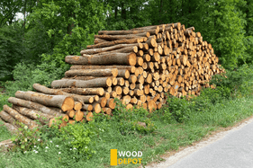 eiken stamhout 3 meter stammen