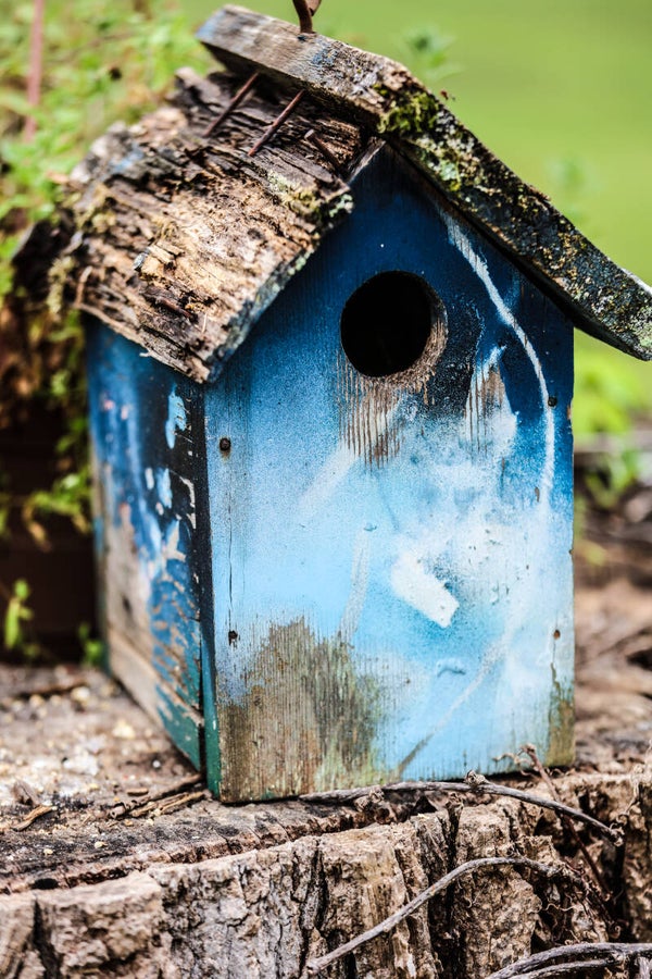 Birdhouse Blues