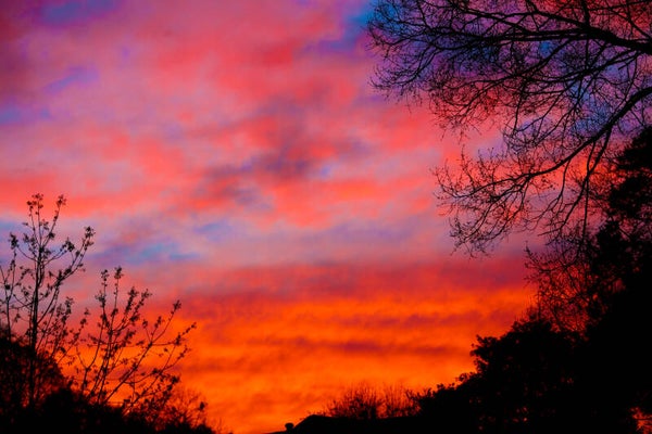 Georgia Fall Sunset