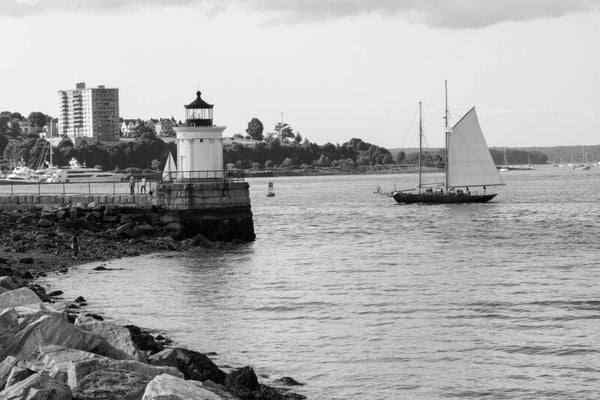 Black and White Light House