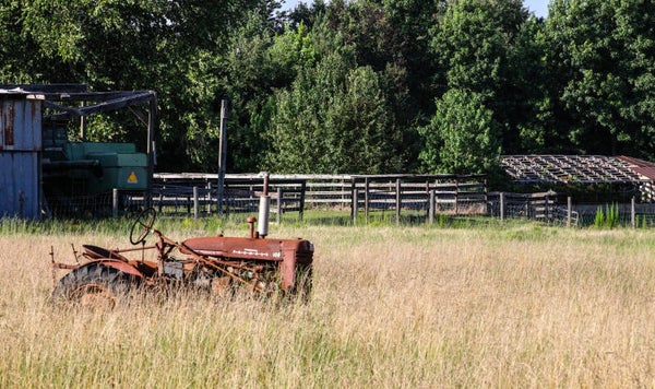 Old Red Tractor