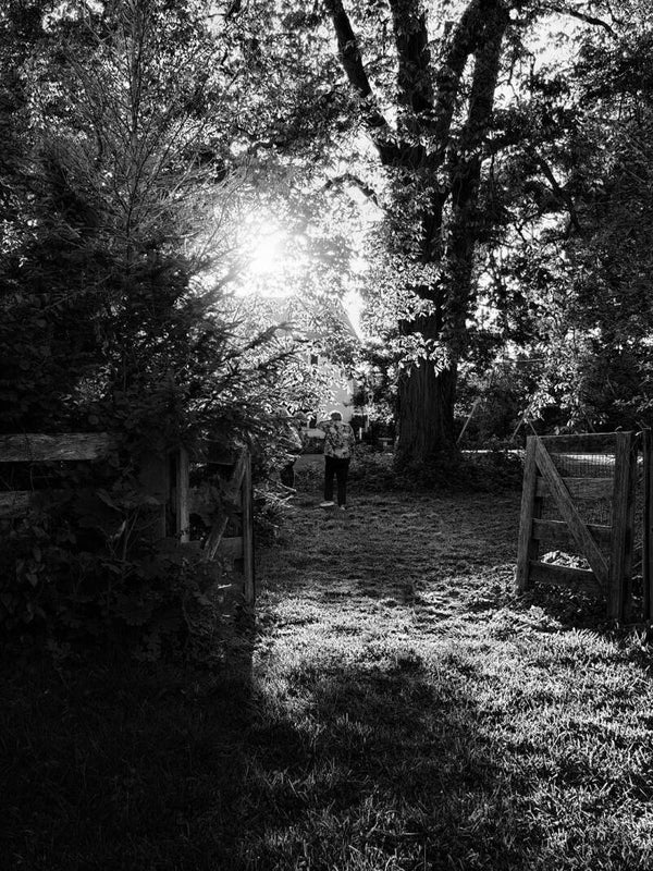 Walk to the Light
