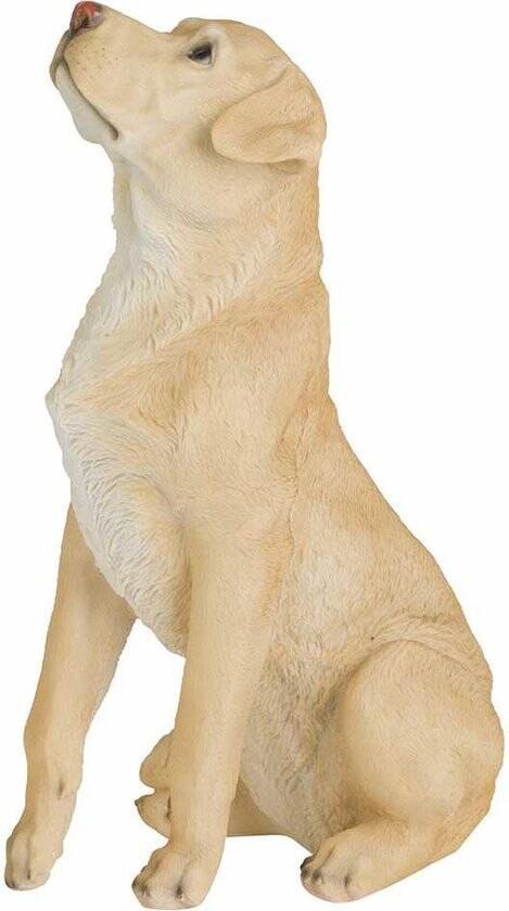 Cosy&Trendy Labrador zittend beeld - 24 x 38 cm