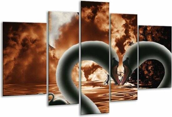 Glasschilderij Vogels | Bruin, Wit, Zwart | 170x100cm 5Luik | Foto print op Glas | F002415