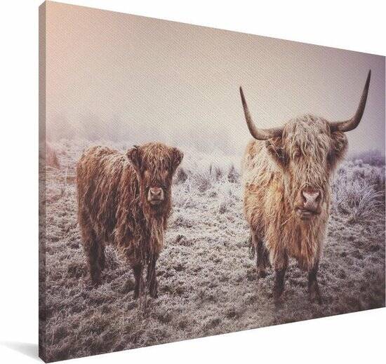 Portret van twee Schotse hooglanders Canvas 140x90 cm