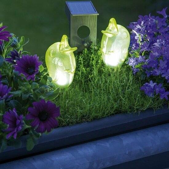 Vogeltjes op zonne-energie - duo Starlight - set van 2 stuks