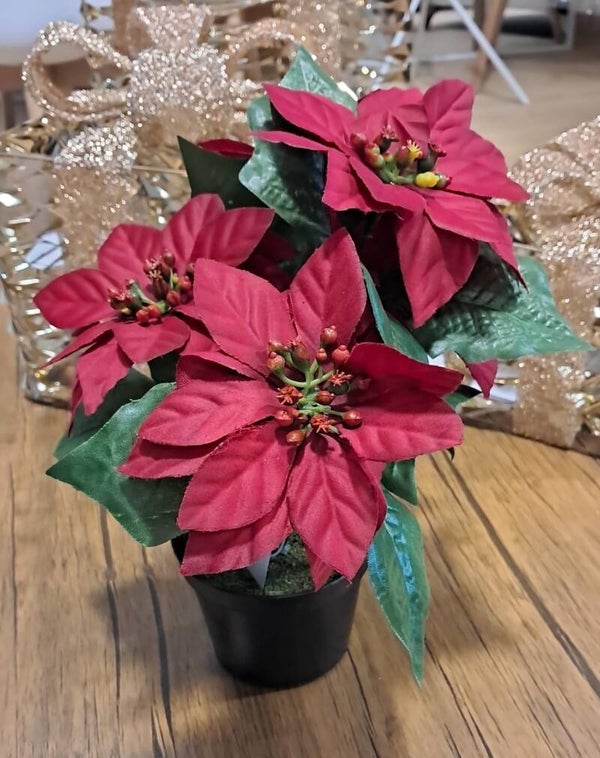 PLANTA ARTIFICIAL  MEDIANA PASCUA