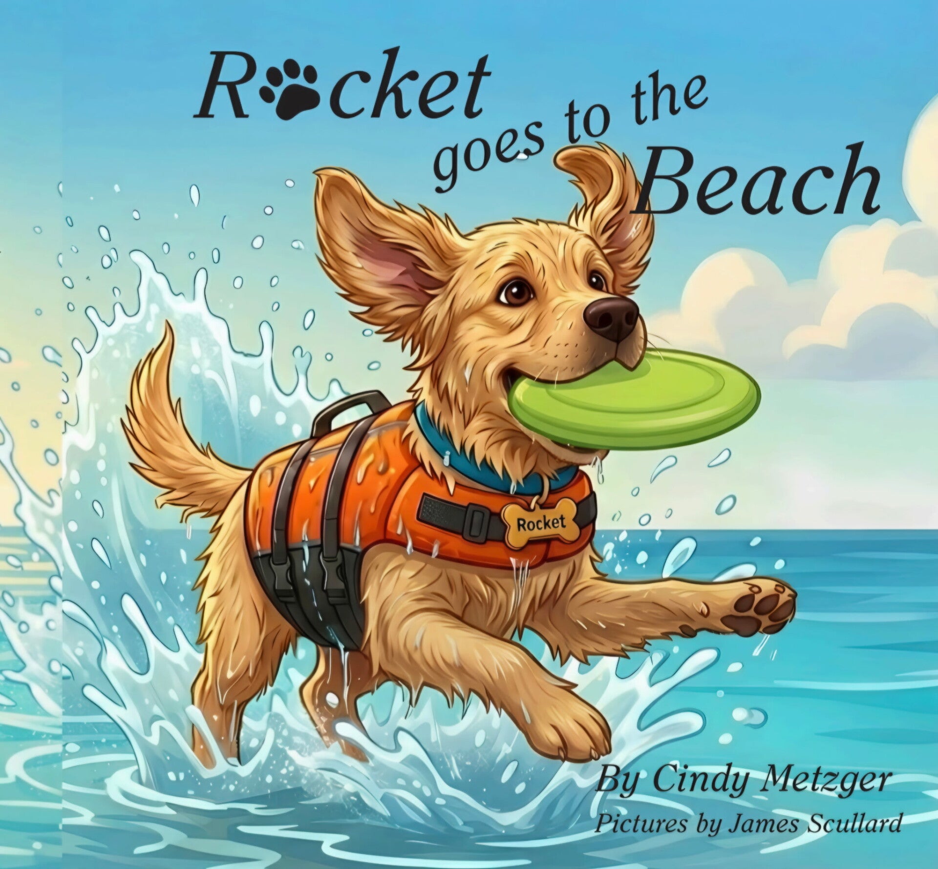 Rocket Goes To The Beach