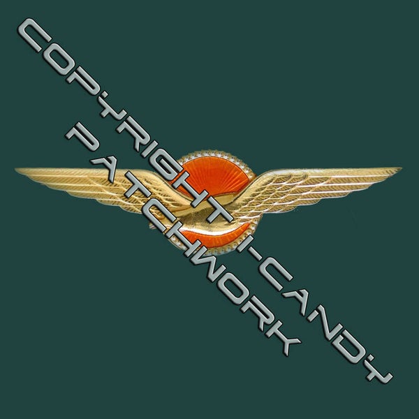PIN #250101 PILOT WING