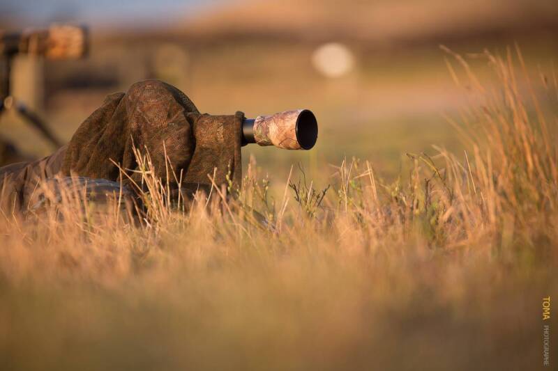Texel - by Thomas Meunier